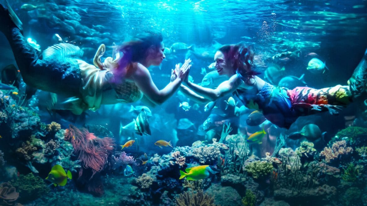 Reseña: Gente Sirena.