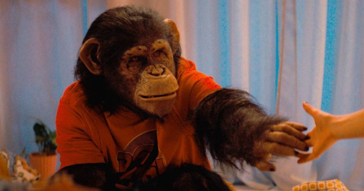 “Primate”: el nuevo terror de Paramount que enfrenta a una familia con un chimpancé fuera de control